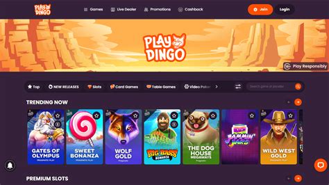 play dingo casino.